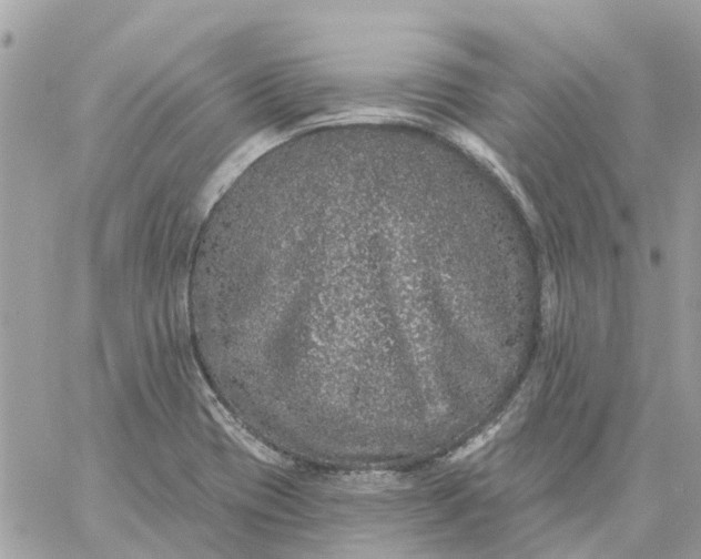 X0000059241417200510281919