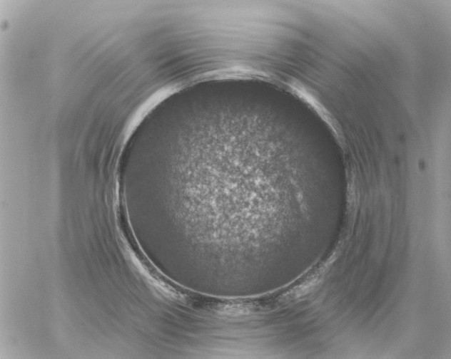 X0000059241418200510281919