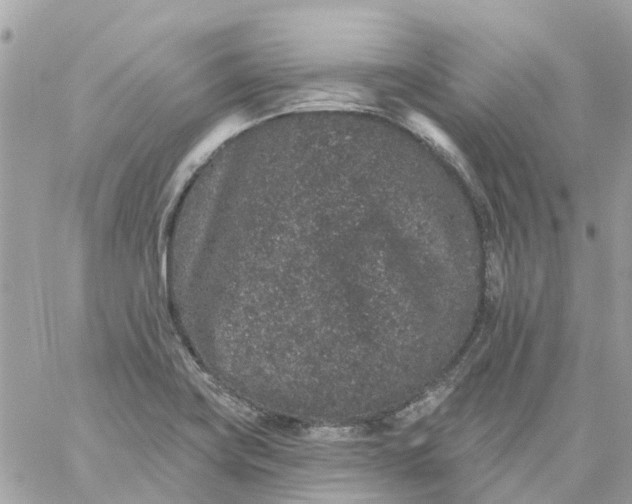 X0000059241419200510281919