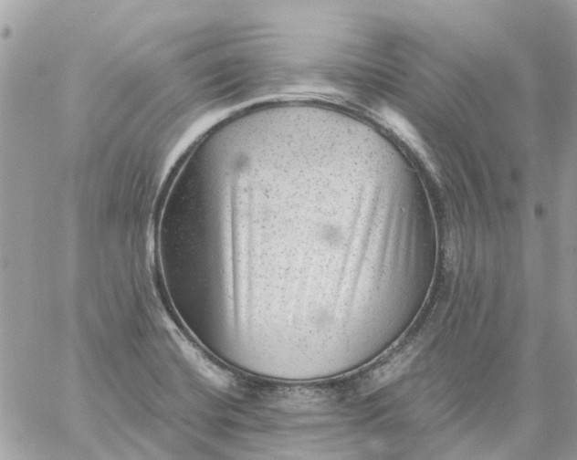 X0000059241420200510281919