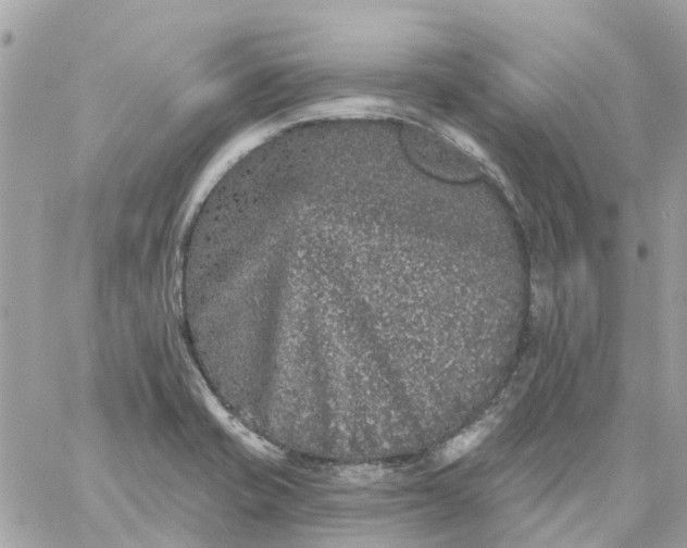 X0000059241421200510281919