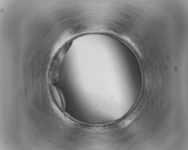 X0000059241422200510281919