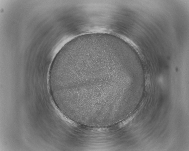 X0000059241423200510281919