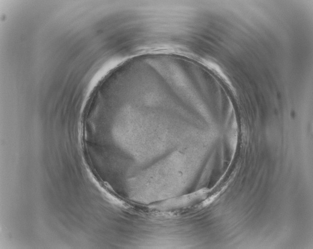 X0000059241424200510281919