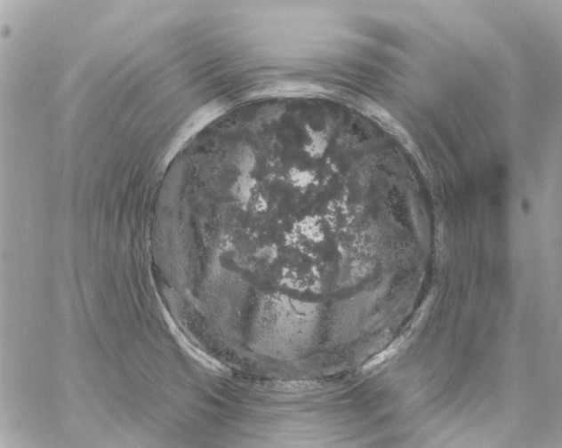 X0000059241425200510281919