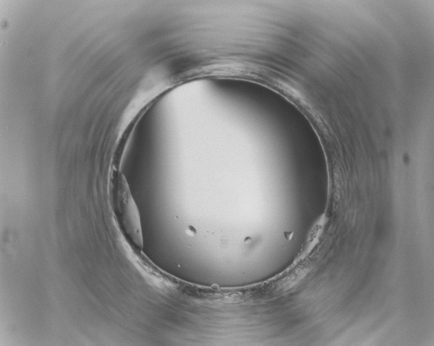 X0000059241426200510281919