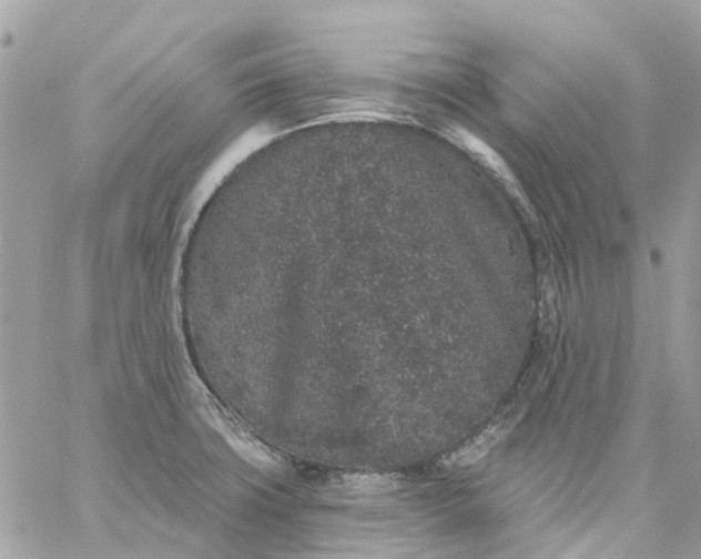 X0000059241427200510281919