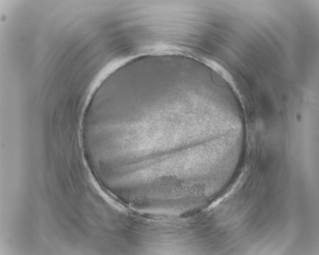 X0000059241429200510281919