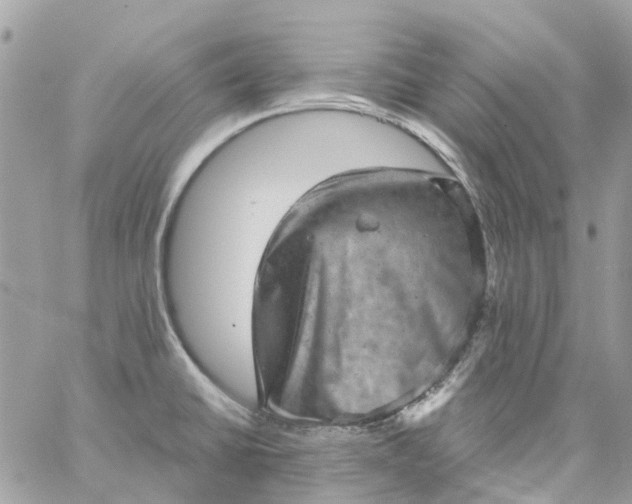 X0000059241430200510281919