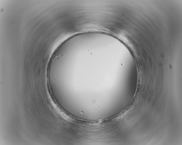 X0000059241431200510281919