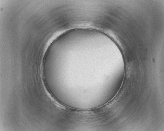 X0000059241432200510281919