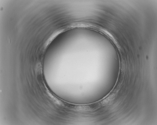 X0000059241433200510281919