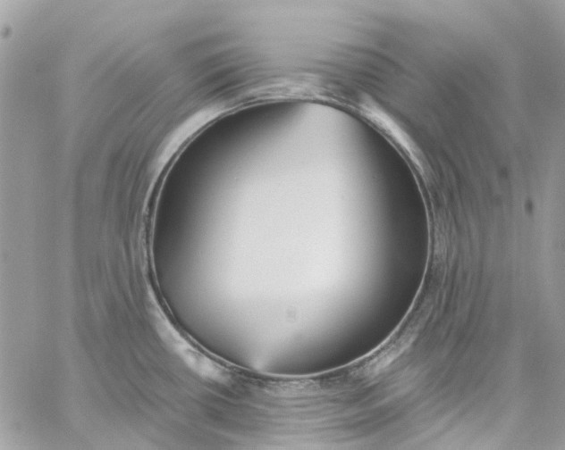 X0000059241434200510281919