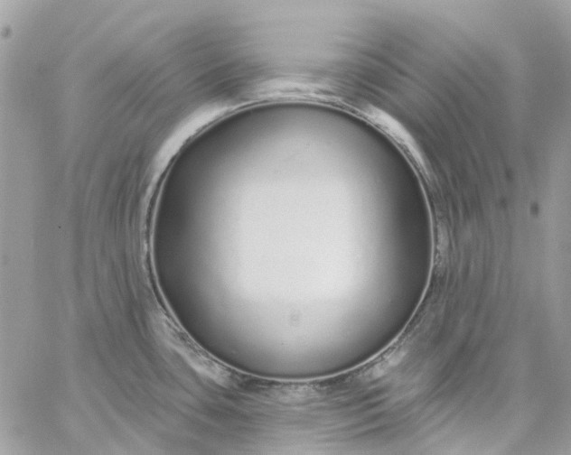 X0000059241435200510281919