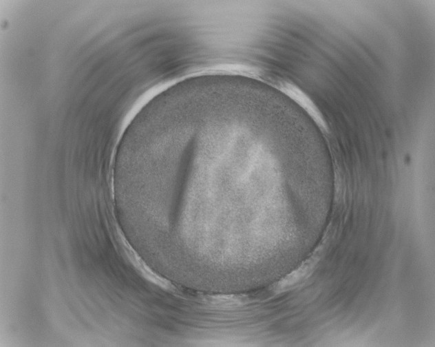 X0000059241436200510281919