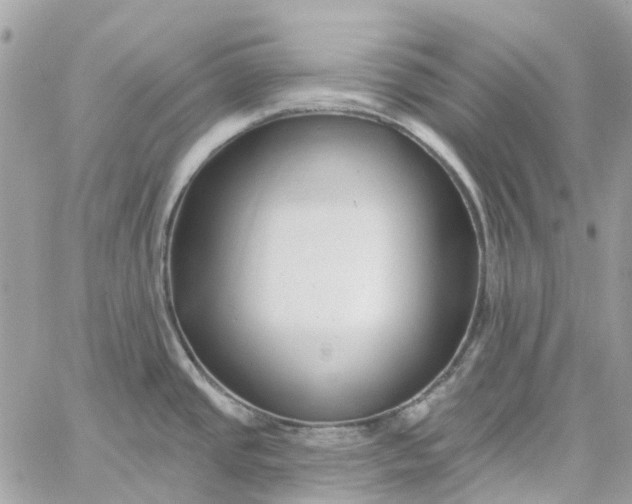 X0000059241437200510281919