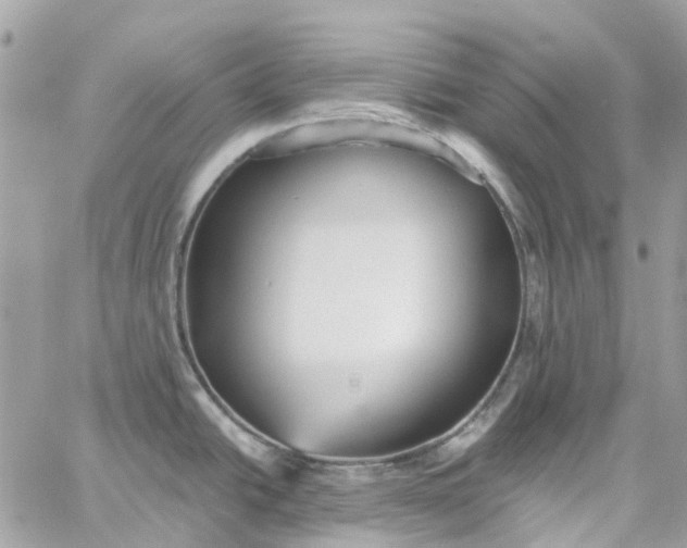 X0000059241438200510281919