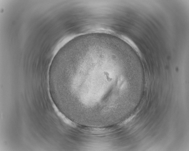 X0000059241439200510281919