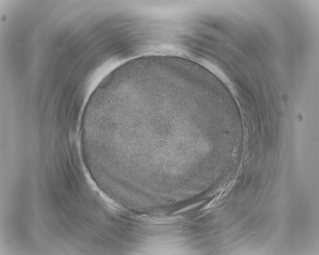 X0000059241440200510281919