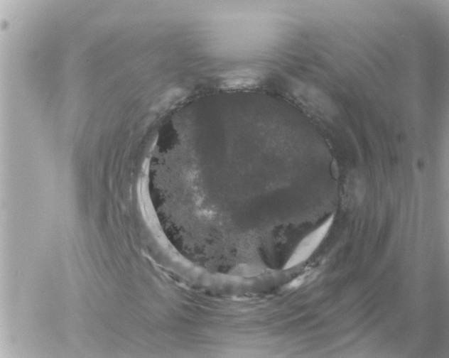 X0000059241441200510281919