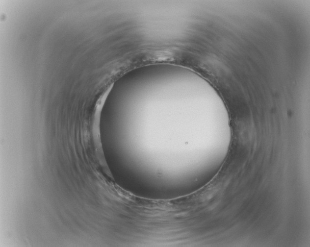 X0000059241442200510281919