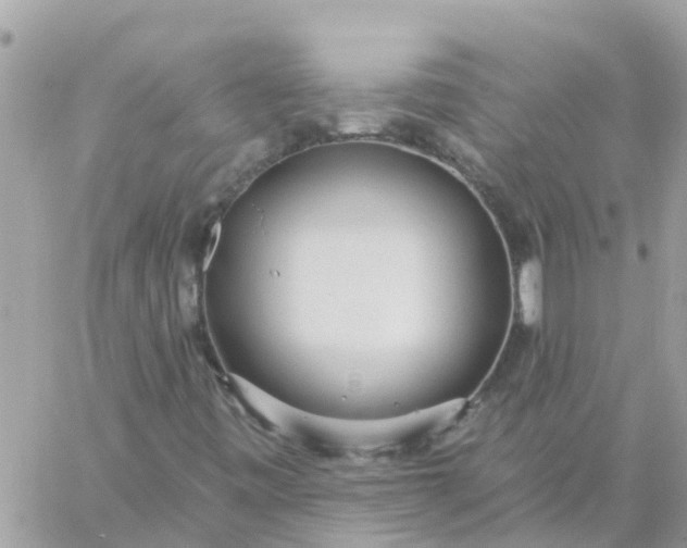 X0000059241443200510281919