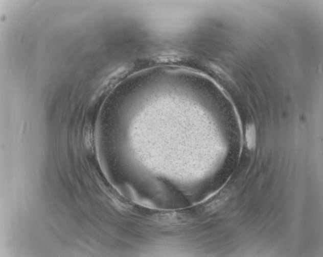 X0000059241444200510281919