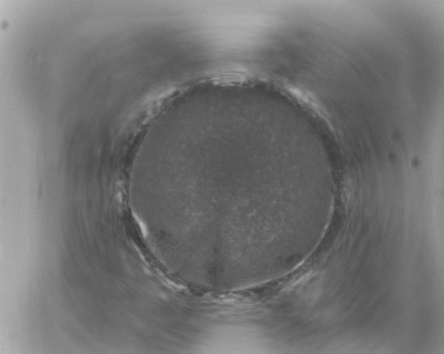 X0000059241445200510281919