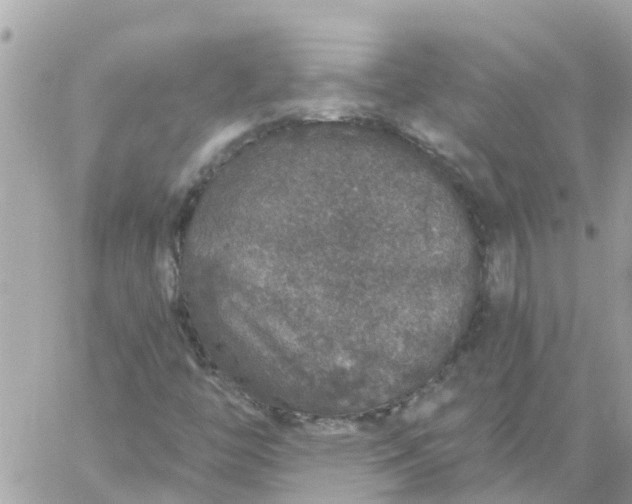 X0000059241446200510281919