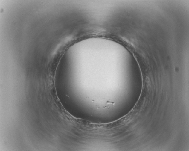 X0000059241447200510281919