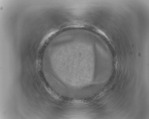 X0000059241448200510281918