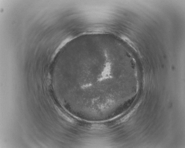 X0000059241449200510281918