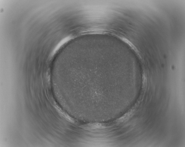 X0000059241450200510281918