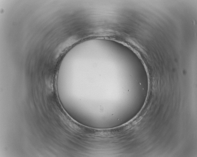 X0000059241451200510281918