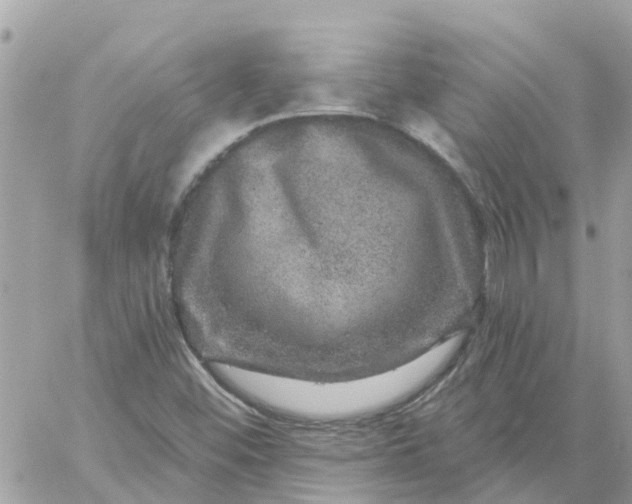 X0000059241452200510281918