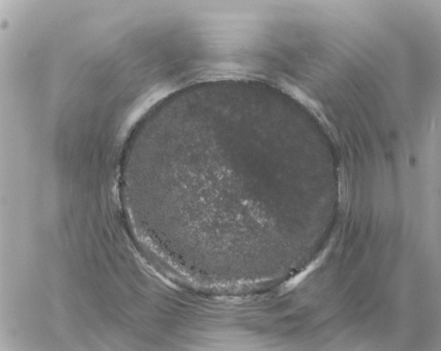 X0000059241453200510281918