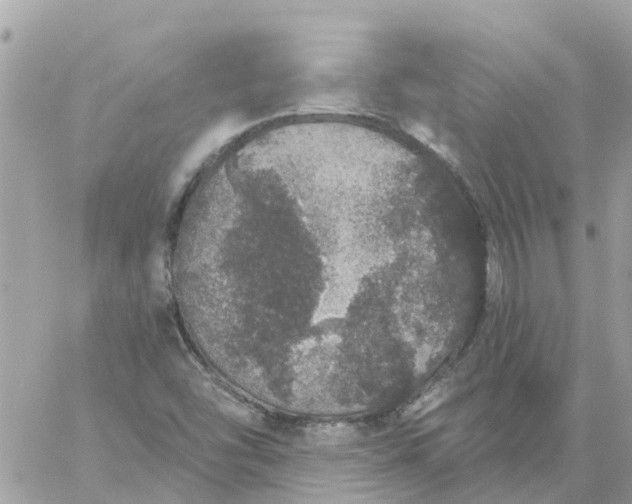 X0000059241454200510281918