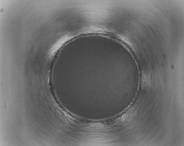 X0000059241455200510281918