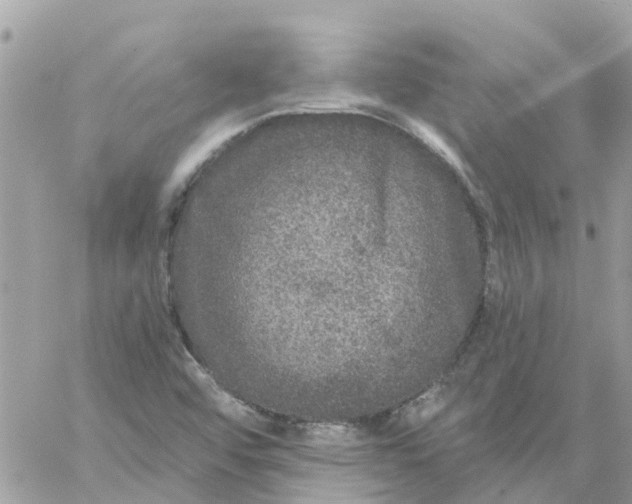 X0000059241456200510281918