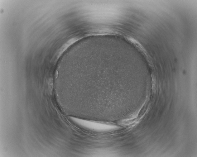 X0000059241457200510281918