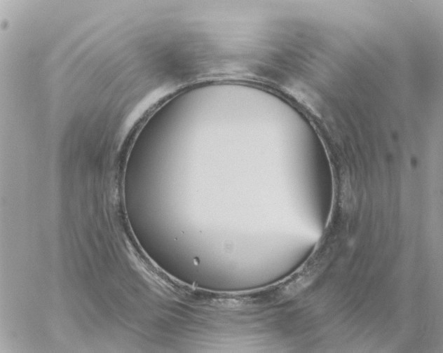 X0000059241458200510281918