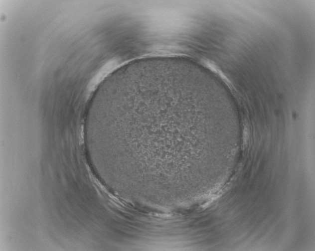 X0000059241459200510281918