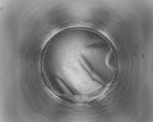 X0000059241460200510281918