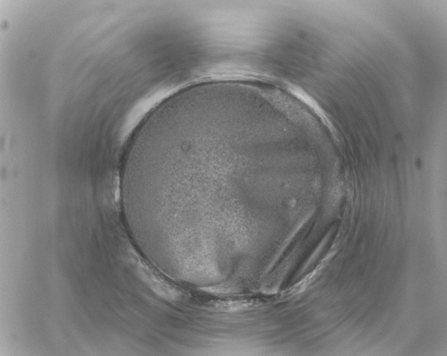 X0000059241461200510281918