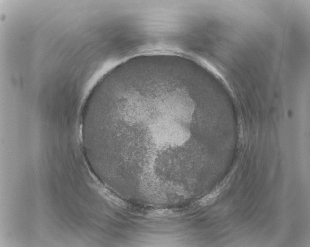 X0000059241462200510281918