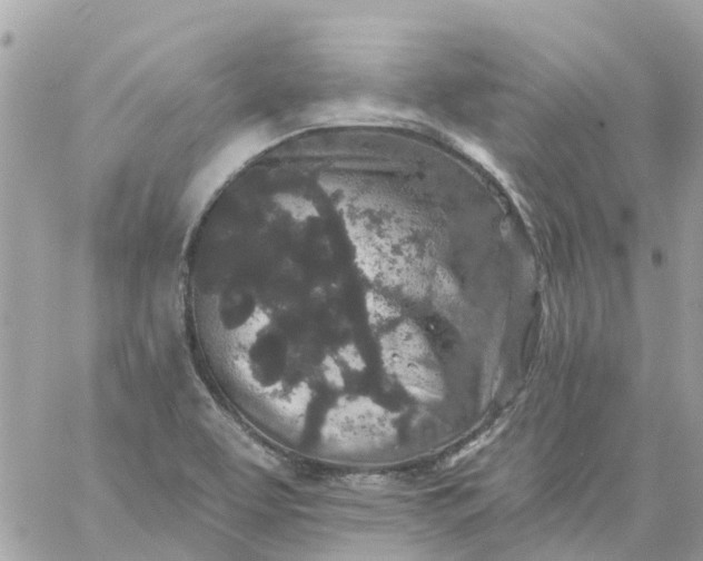 X0000059241463200510281918