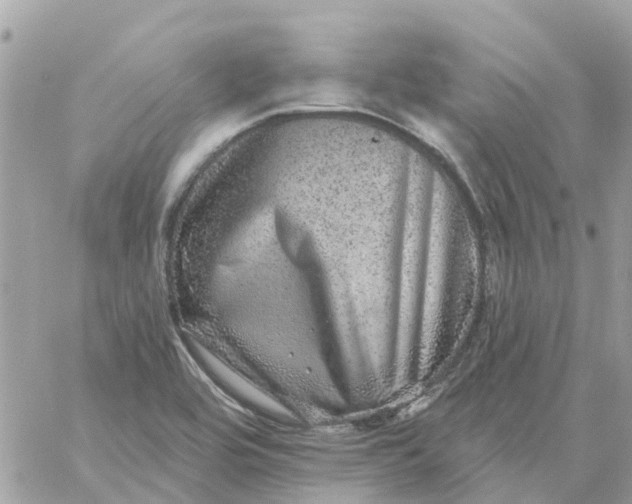 X0000059241464200510281918