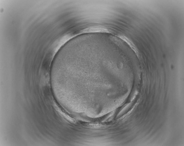 X0000059241465200510281918