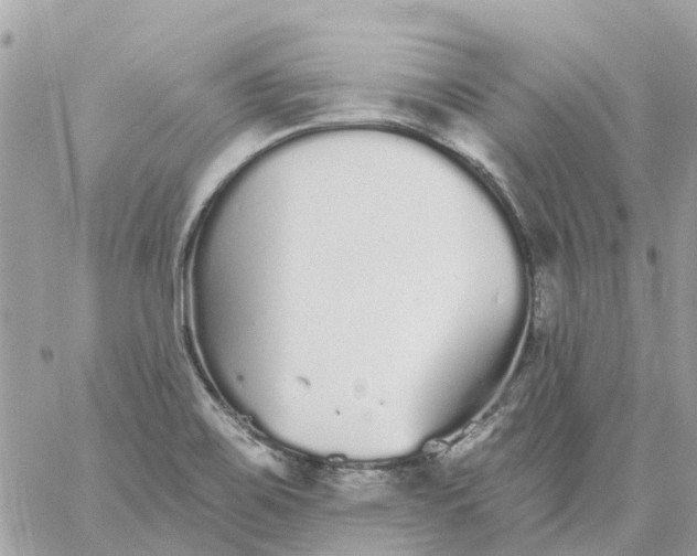 X0000059241467200510281918