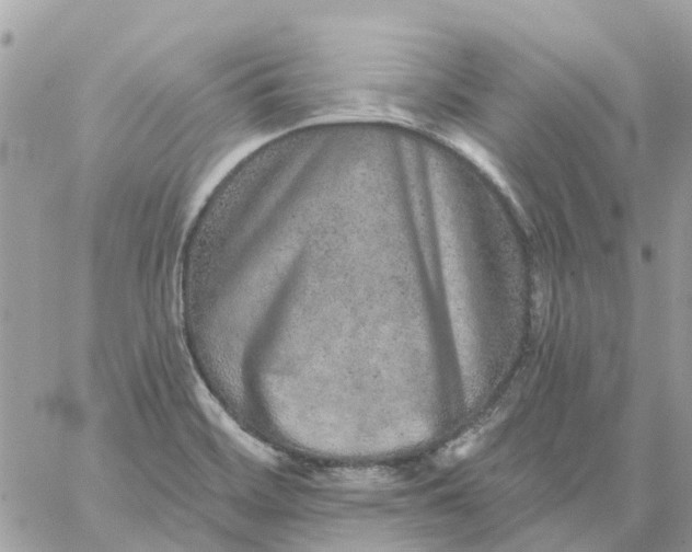 X0000059241468200510281918